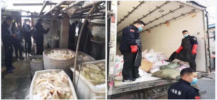 江苏最新输入，时代浪潮下的辉煌篇章
