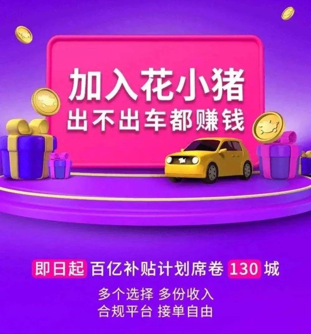 花小猪，新时代的出行新星，引领出行新潮流