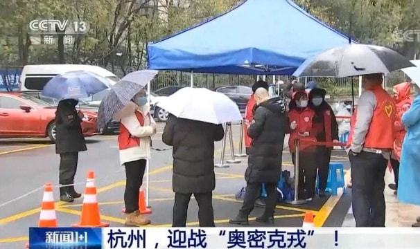 杭州疫情最新动态，绿意盎然中的心灵之旅，共探自然之美
