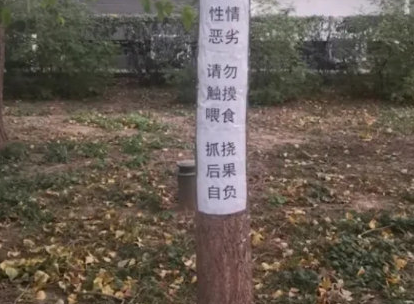 北大香波最新科技，智能重塑生活，体验未来魅力