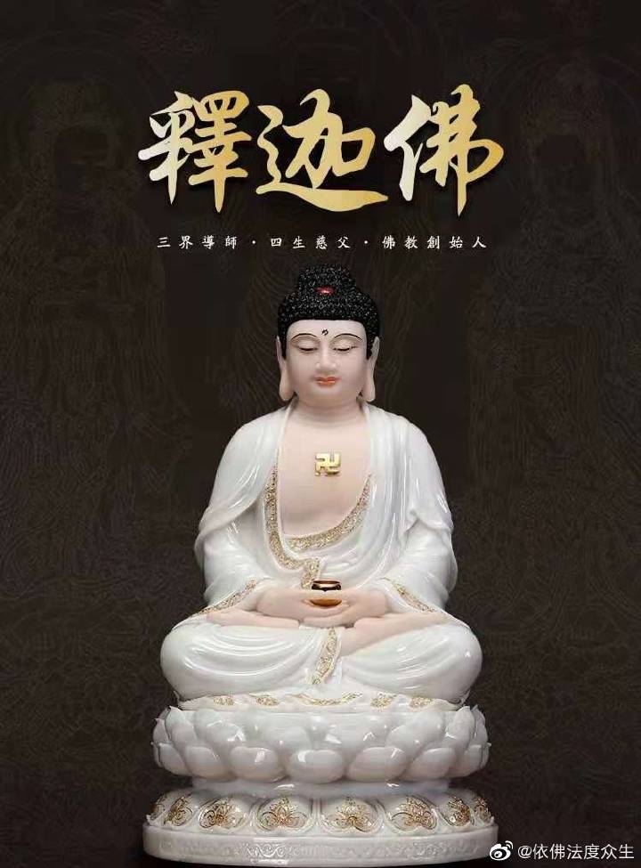 御佛最新日常趣事揭秘
